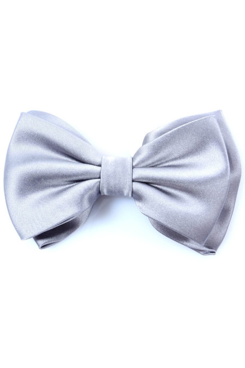 Noeud papillon pure soie