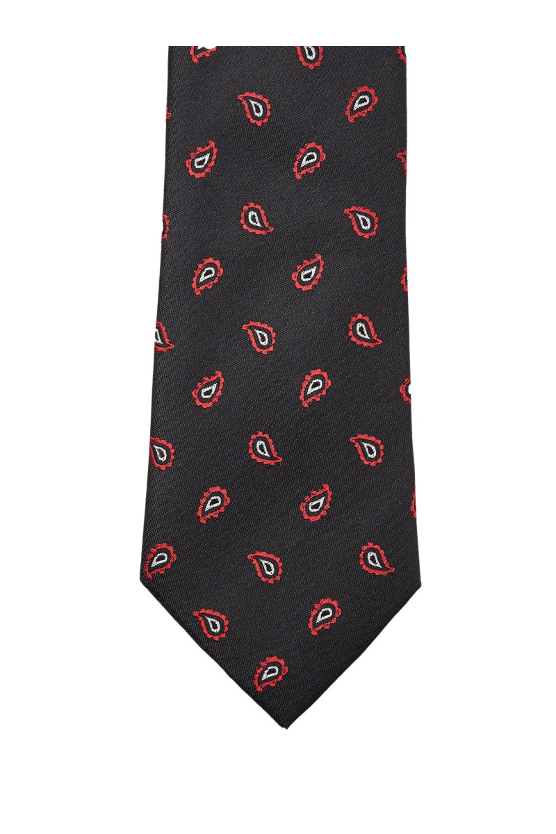 Paisley Pure Silk Tie