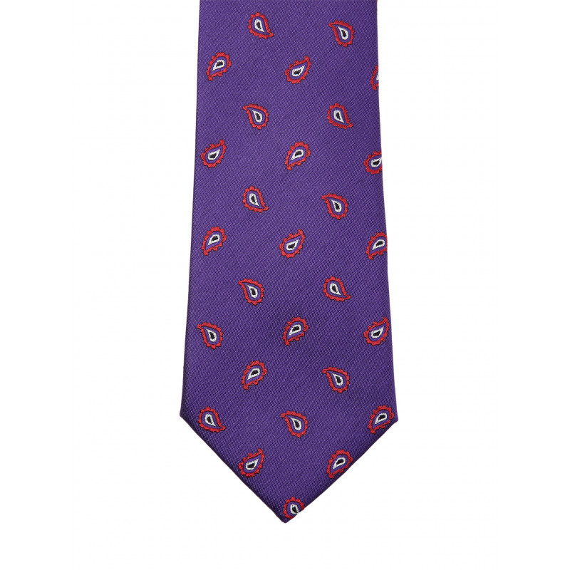 Paisley Pure Silk Tie