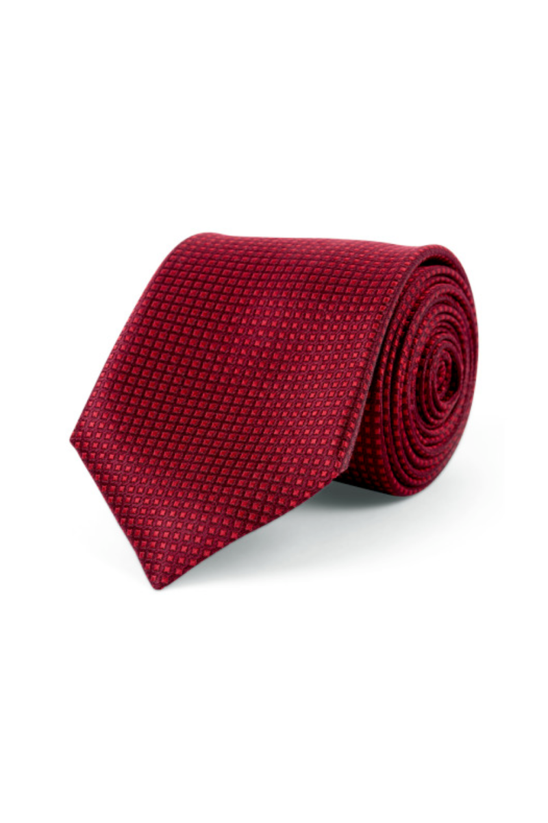 Cravate pure soie à puce